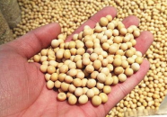 雌性激素的作用,塑造女性魅力与健康的神秘力量